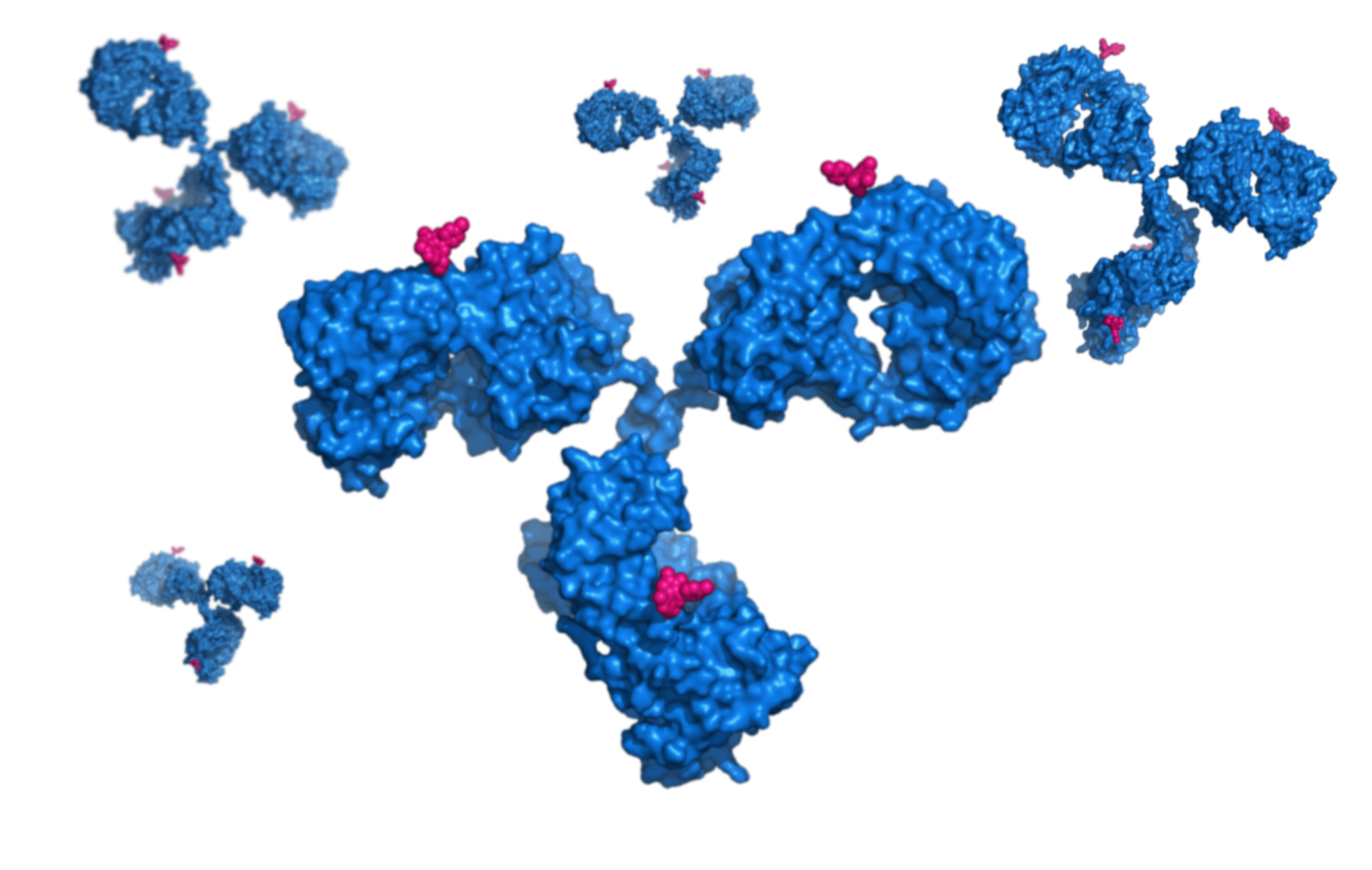 Antibody Drug Conjugate illustration