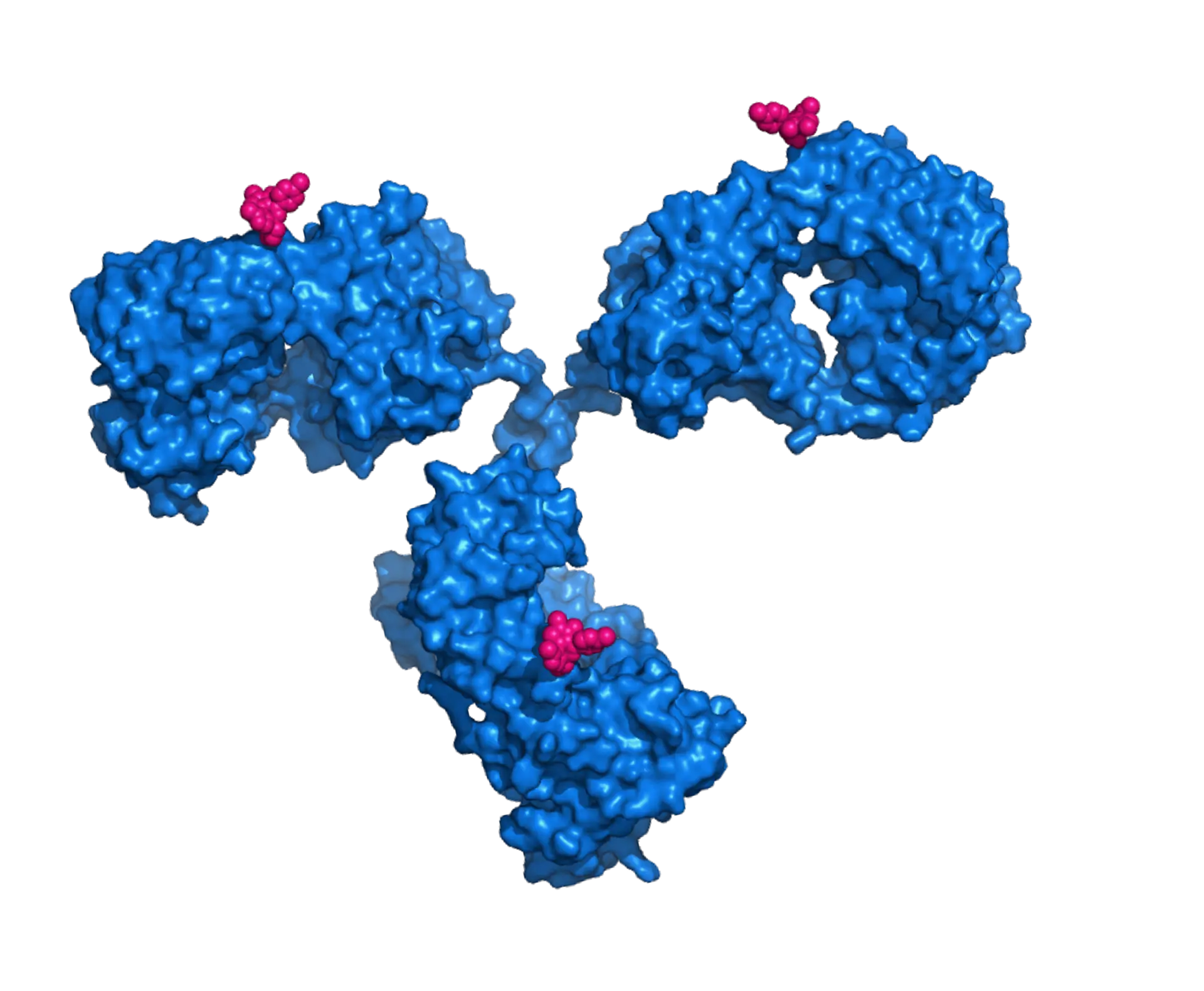 Diagram of a degrader-antibody conjugate